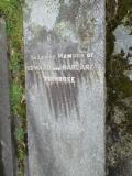 image of grave number 504509